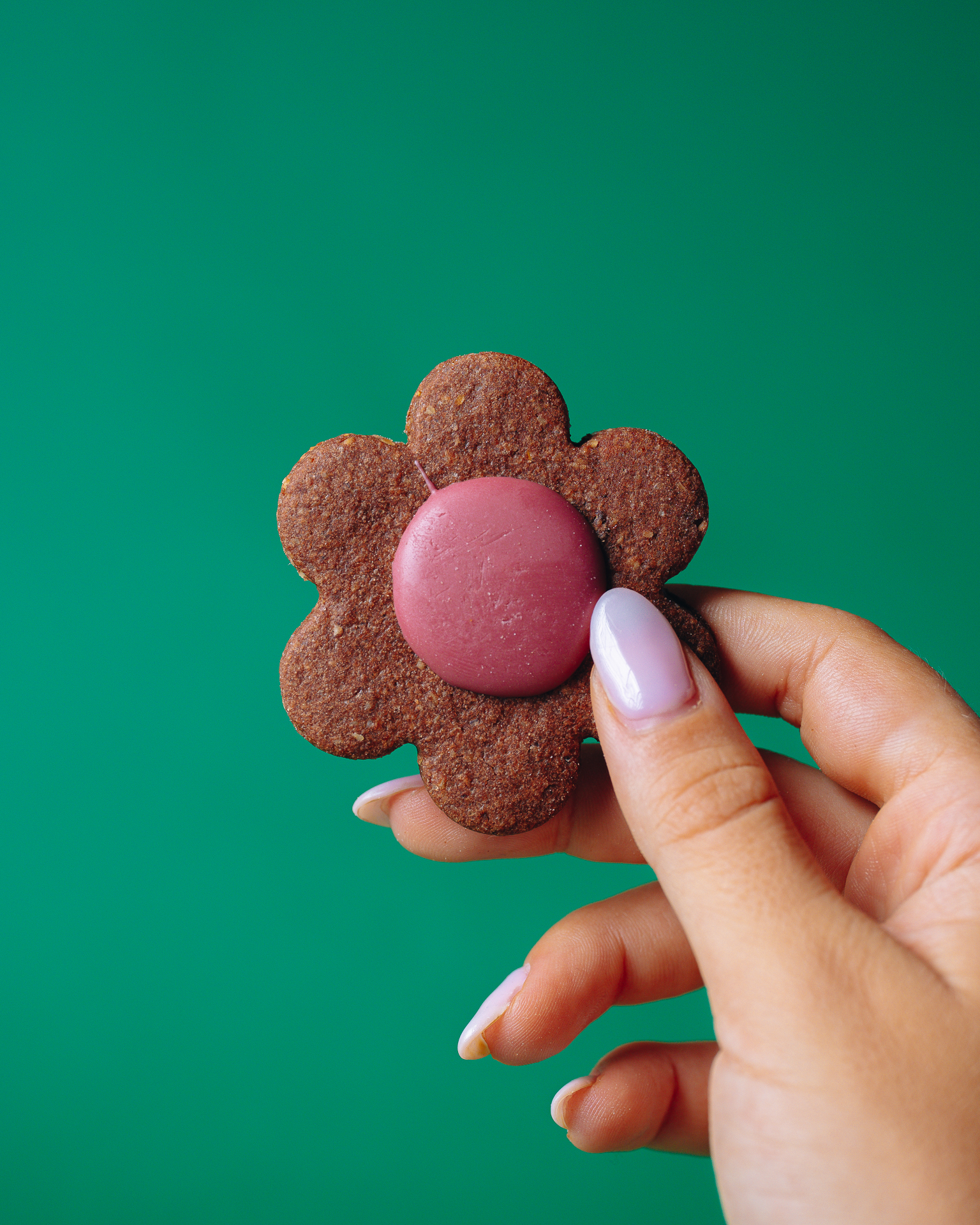 Fiori cacao e cioccolato Ruby - immagine 5